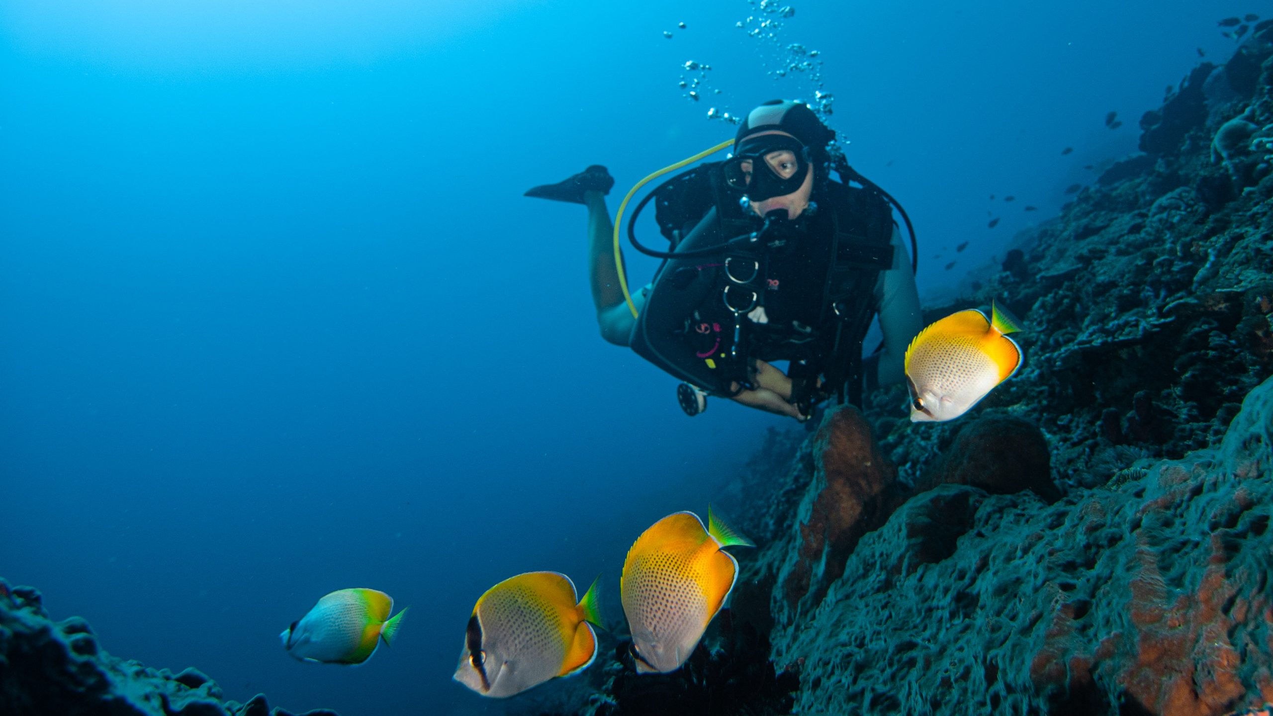 Найтрокс Pure Dive Resort Eco Friendly Dive Resort on Nusa Penida